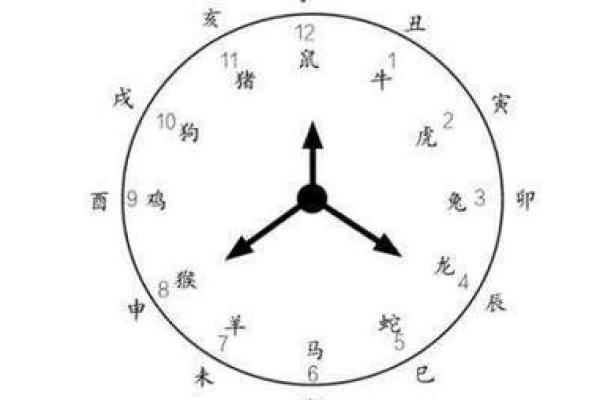 生肖时辰算命哪个时辰属于你的生肖能揭示你的命运