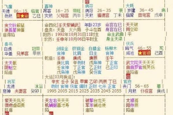紫薇斗数中禄