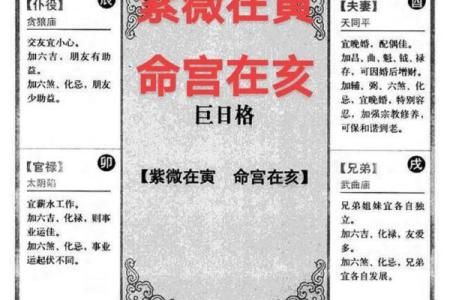紫薇斗数怎么数岁数
