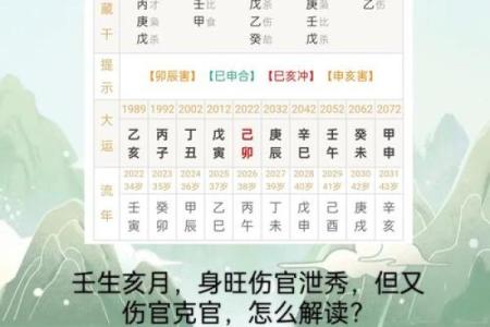 公历算命,算官运最准的免费网站