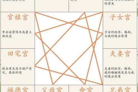 紫薇斗数测事业成就