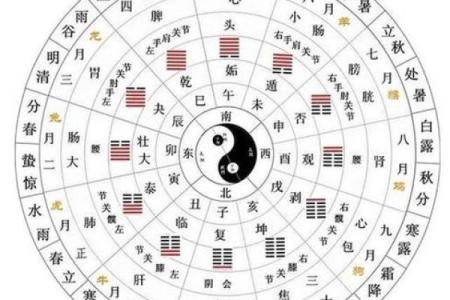 八字看排盘