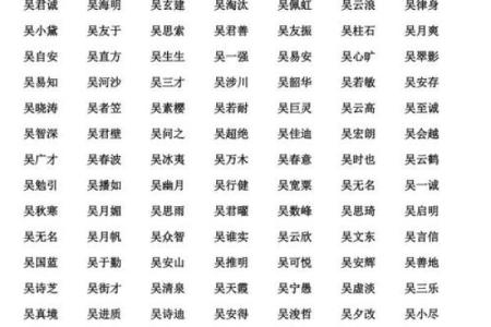 吴姓女孩名字大全-吴姓女孩起名字大全-吴姓名字大全姓名