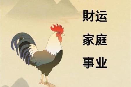 11月份出生的属鸡男孩起什么名字好姓名