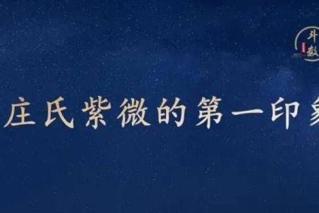 庄式紫薇斗数排盘