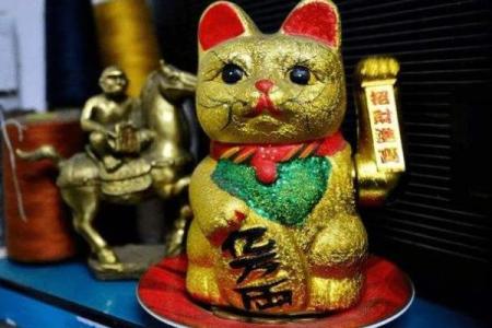 养猫风水