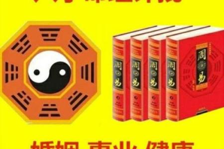 八字丁亥丙午大运