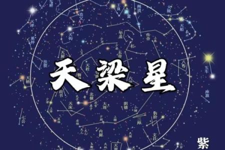 紫微斗数适合看什么方面 紫微斗数看的准吗？
