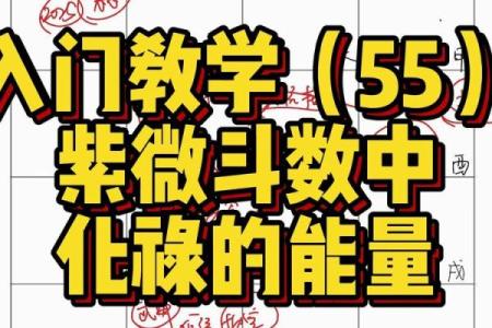紫薇斗数中禄