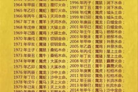 易算紫薇斗数