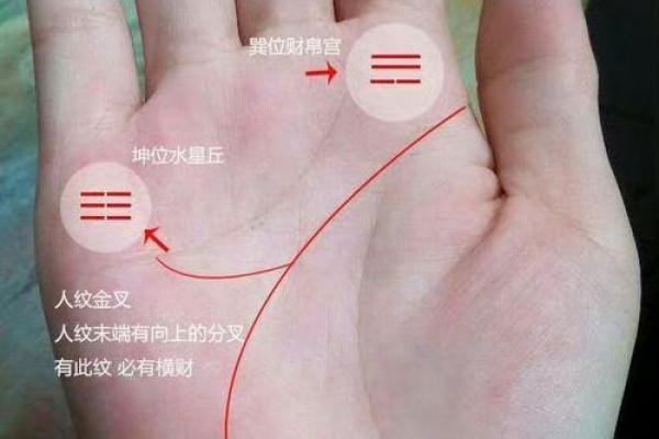 手相算命：什么样的手相最有偏财运