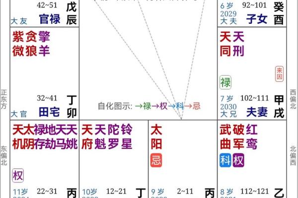 紫薇斗数盘是什么