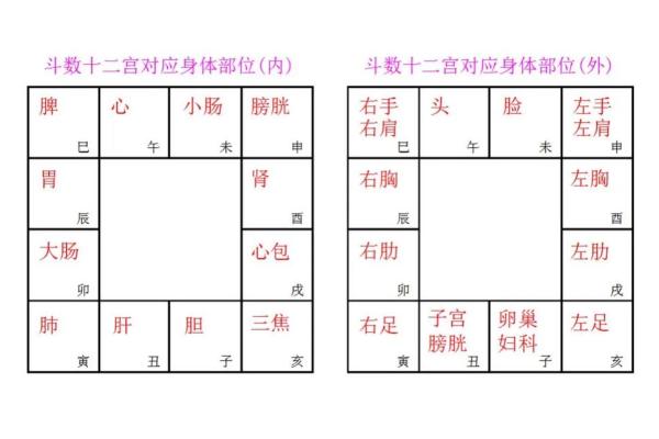 紫微斗数探源 紫微斗数讲堂？