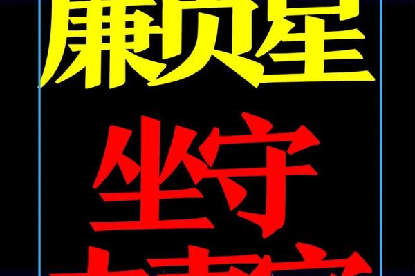 紫薇星盘看姻缘免费