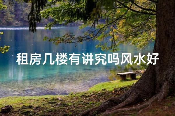 租房子有看风水吗