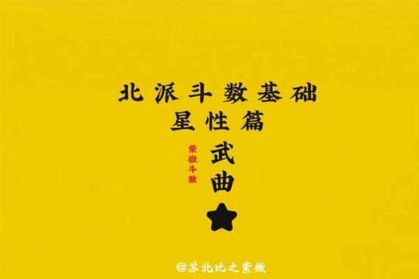 紫微斗数武曲星入命宫,武曲命格的女生啥性格