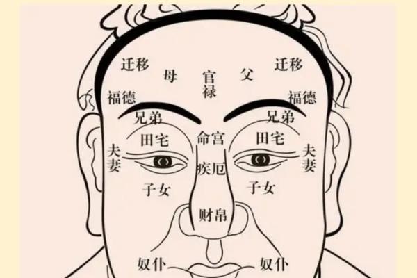 八字排盘
