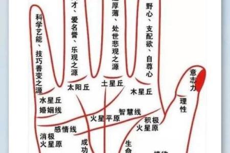 手相算命：什么样的手相最有偏财运