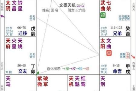 紫薇斗数盘是什么