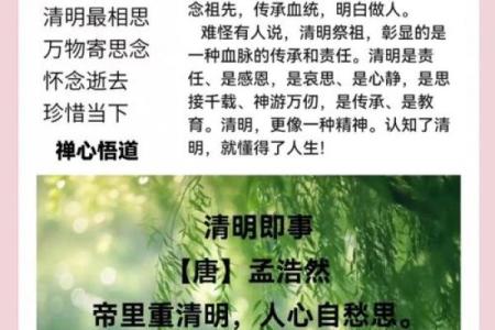 清明节扫墓需要注意的风水事项