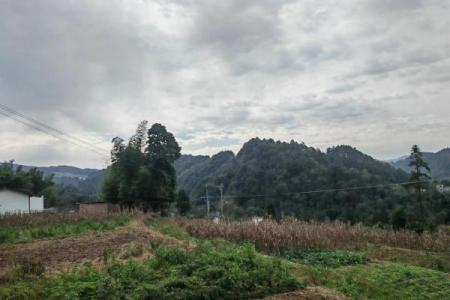 甲山庚向 杨公风水