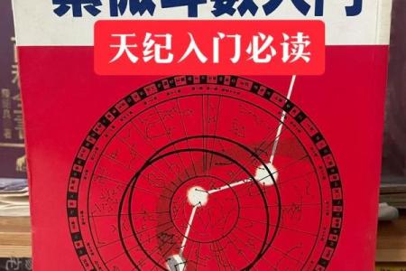 紫薇斗数入门更好的书