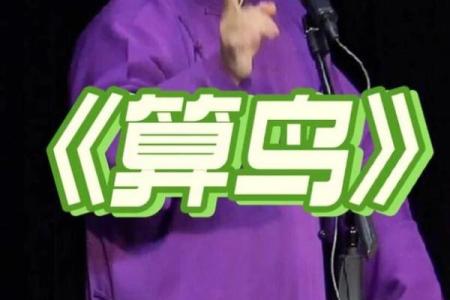搞笑小鸟算命视频