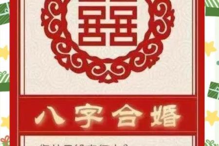 最好的合婚八字
