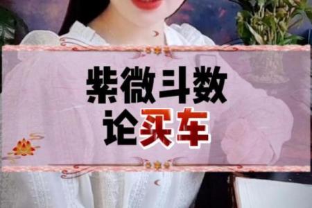 紫薇斗数测买车看哪宫