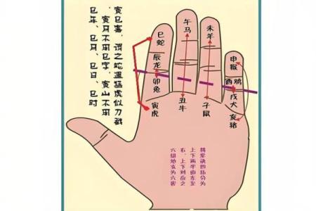 怎么学八字算命