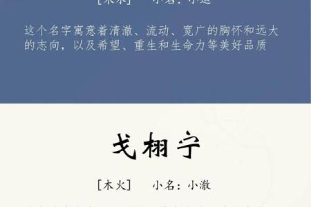 2019年4月24号卯时出生的男孩如何起名姓名