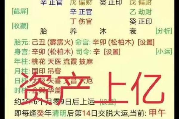 偏财八字图解大全大气清新