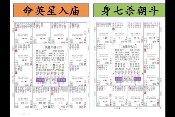 紫微斗数之兄弟宫与诸星,破军星在兄弟宫是什么意思？