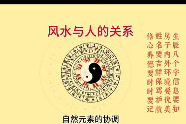八字四阴四阳