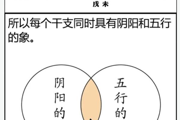 八字四阴四阳