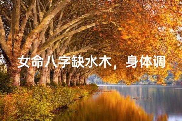 八字水木