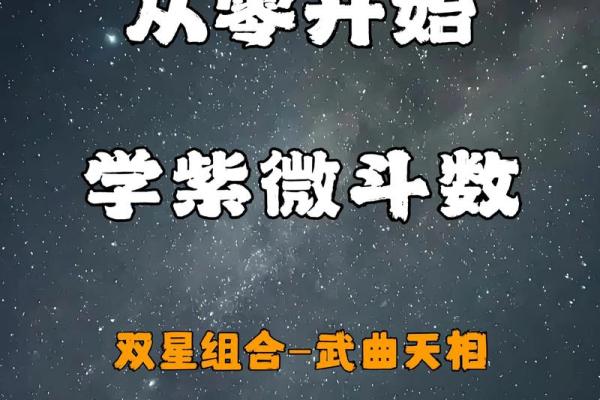 紫微斗数之廉贞星双星组合实战
