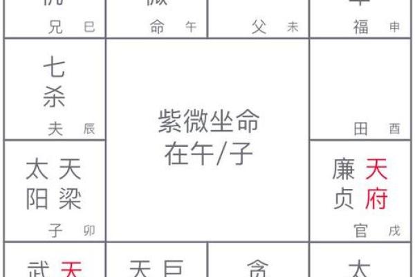 紫薇斗数的格局