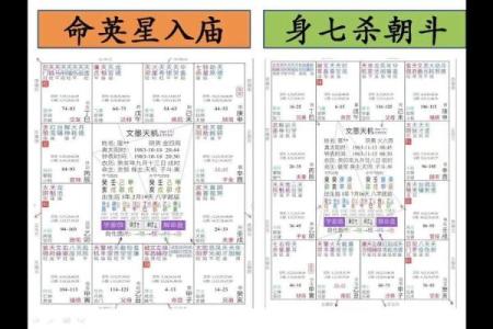 紫微斗数之兄弟宫与诸星,破军星在兄弟宫是什么意思？