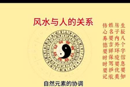 八字四阴四阳