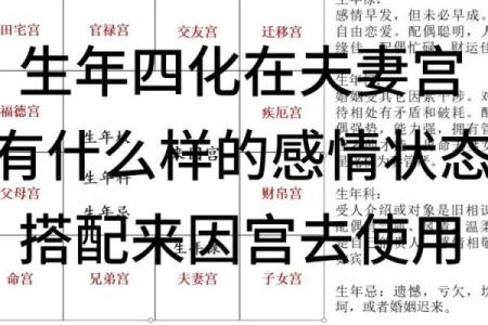 紫薇斗数夫妻宫代表