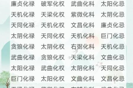 紫薇斗数通天