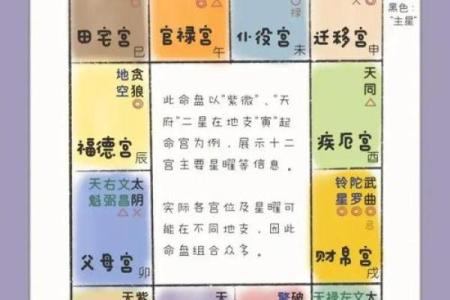 紫薇斗数里遇是什么意思