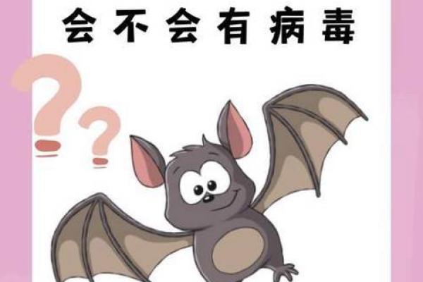 蝙蝠飞进家里好吗风水预示什么老人去世吗