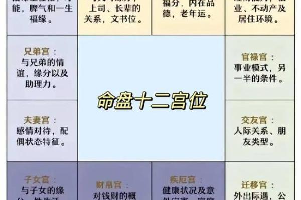 学紫薇斗数