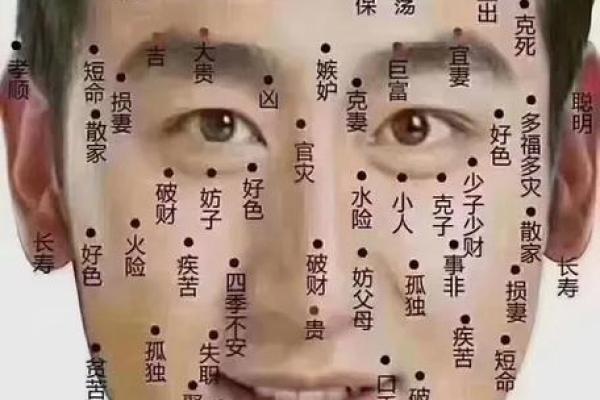 眼皮看面相算命