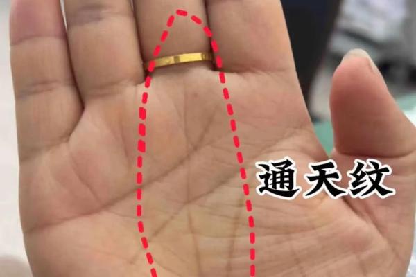 川字纹几种类型，一定要了解清楚：悬针纹、八字纹、双雀纹