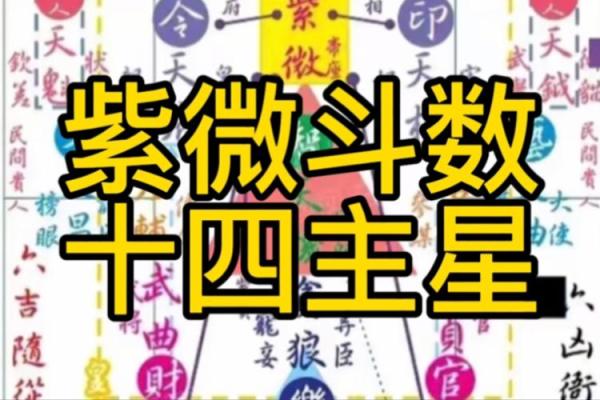 紫微斗数全星一览表,紫微斗数十四主星有哪些