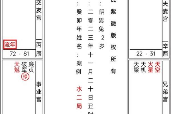 紫薇斗数定盘软件