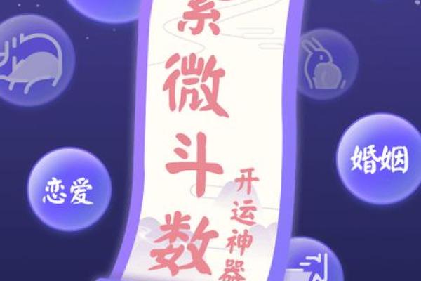 紫薇斗数定盘软件